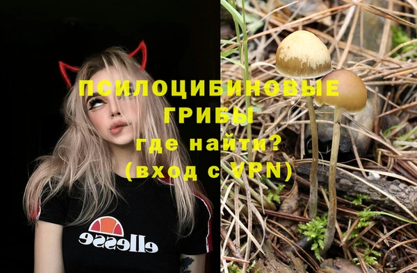 2c-b Ростов
